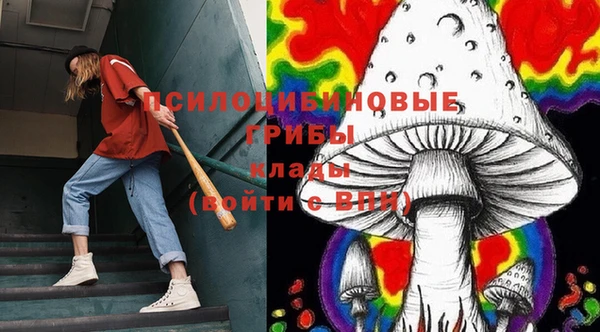 крисы Щучье