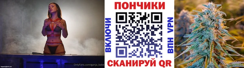 сколько стоит  Курчалой  Конопля гибрид 
